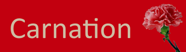 Carnation Construction